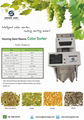 Henning Saint raisin sorting machines  1