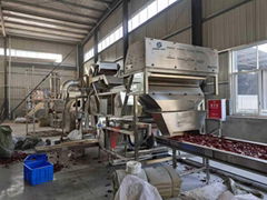 Henning Saint Chili Color Sorting machine