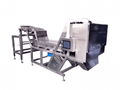 Henning Saint garlic color sorter