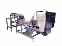 Henning Saint garlic color sorter