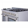 Hyxion oem obm double Gas oven 5