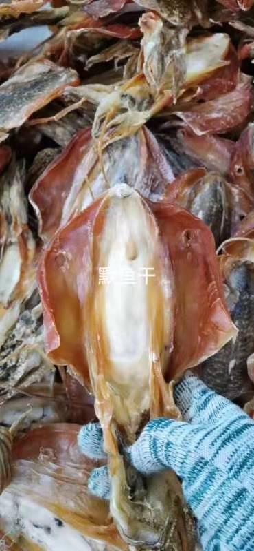 北海野生淡晒墨魚乾500g淡水干貨烏賊木魚乾特級海產品煲湯送禮