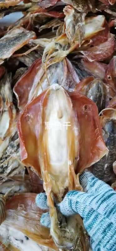北海野生淡晒墨鱼干500g淡水干货乌贼木鱼干特级海产品煲汤送
