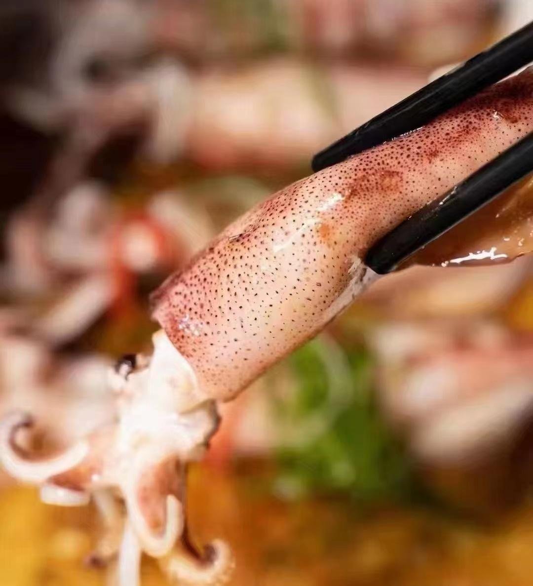 北部灣北海鮮魷魚海鮮水產生鮮魷魚 2