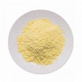 Freeze Dried Corn Powder Bulk & Wholesale