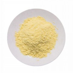 Freeze Dried Corn Powder Bulk & Wholesale