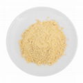 Freeze Dried Papaya Fruit Powder