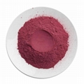 Freeze Dried Raspberry Powder 1