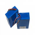 24V Lithium Ion Battery Pack 1