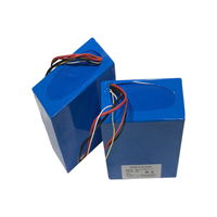 24V Lithium Ion Battery Pack