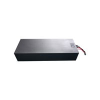 48V Lithium Ion Battery Pack