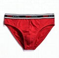 High Quality V Shape Underwear for Men 4