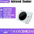 induction cooker  BJD2
