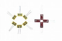 Semiconductor Strain Gauge