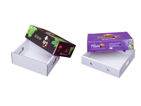 食品果蔬纸盒（纸箱）成型机 5