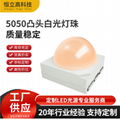 5050球头白光0.5W 小角