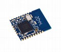 Nordic nRF52832 module HY-KTB523 1