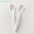 Compostable Biodegradable Cutlery & Utensils 1