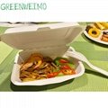 Eco Biodegradable Hot And Cold Food Catering Box with Lid 1