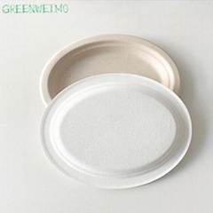 Sugarcane Ellipse Oval Food Plate Bagasse Biodegradable