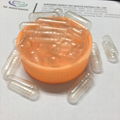 Empty Hard Gelatin Capsule