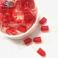 Empty Hard Gelatin Capsule 5