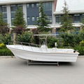 Panga 22 Fishing Boat Fiberglass 4