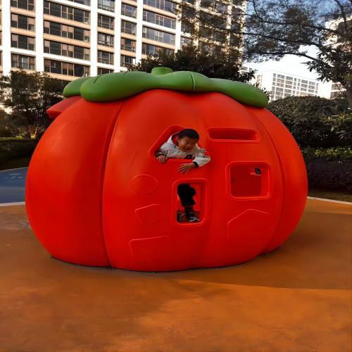 Rotoplastic customized outdoor amusement facilities 4