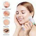 Classic 4-in-1 Electric Rotating Facial Cleansing Brush with plastic case 4
