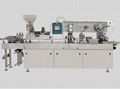 DPP-250 Plate Type Packaging Machine