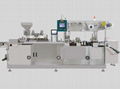 DPP-260 Plate Type Packaging Machine 1