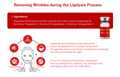 LIPO VELA - V Premium Lipolysis Solution with a Whitening & Lifting Effect 4