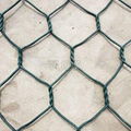 Hexagonal Net 1