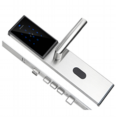 A1006 Intelligent Wifi Password Electronic Lock