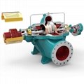 Electric Single Stage Double Suction Centrifugal Water Pump Irrigation Pump 2