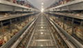 河南中州牧业养殖设备6层层叠热镀锌蛋种肉鸡笼 4