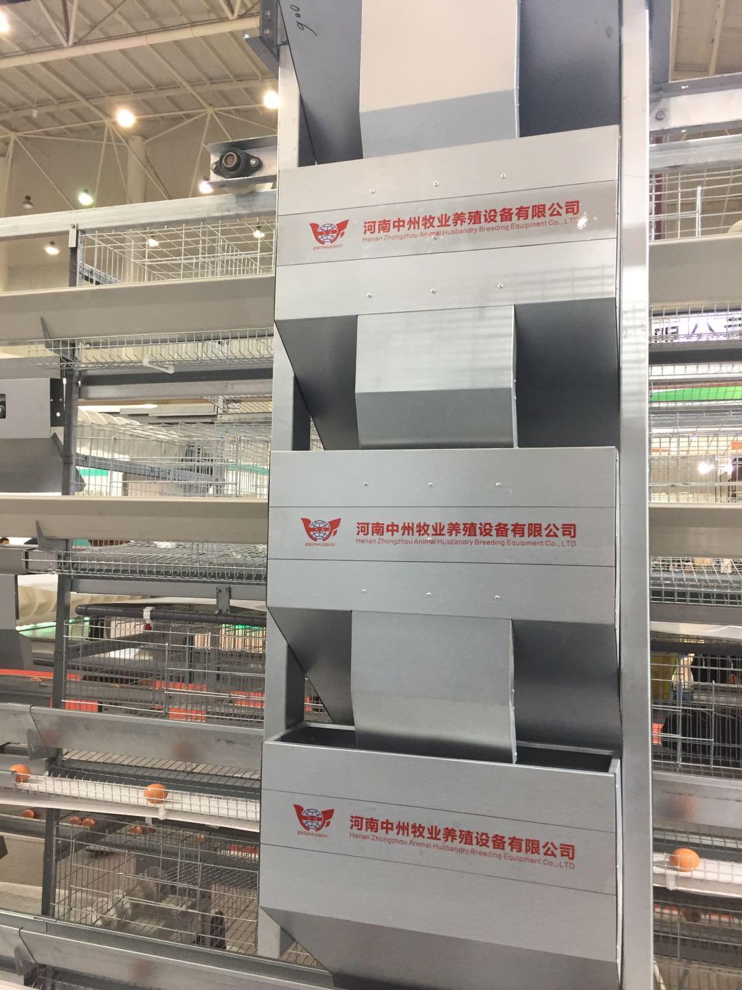 高层重叠式六层立体式青年鸡笼育雏笼育成笼养殖自动化设备 3