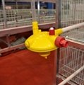 中州牧业自动化层叠蛋鸡笼肉鸡笼育雏笼饮水系统 1