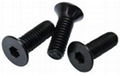 Fasteners 1