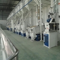 120T/D Modern Rice Processing Line 2