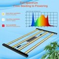 Hight Quality LM218B 320W LED Grow Light Full Spectrum Dimmable For Indoor Plant 4