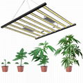 Wholesale Customized LM301B 920W LED Grow Light Full Spectrum Dimmable For Plant