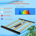 Wholesale Customized 310W 216W Leoon LED Grow Lights Full Spectrum Dimmable  4