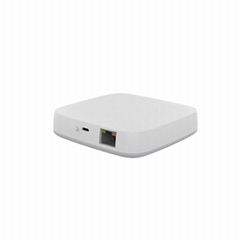 Smart Zigbee LAN Gateway