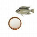 Fish collagen peptide