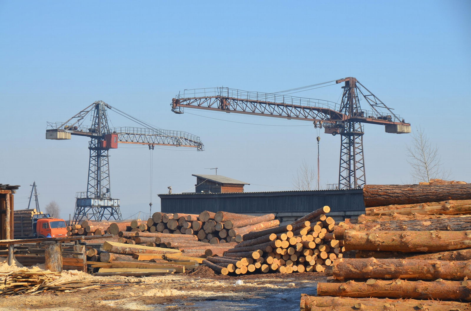 Rounded log of Siberian pine 2