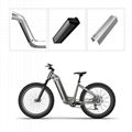 JuLang electric bicycle lithium battery