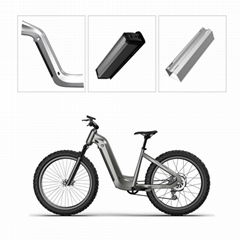 JuLang electric bicycle lithium battery