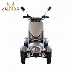 Forza Model Electric 4 Wheel Handicapped Scooter for Elderly