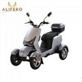 Forza Model Electric 4 Wheel Handicapped Scooter for Elderly 3